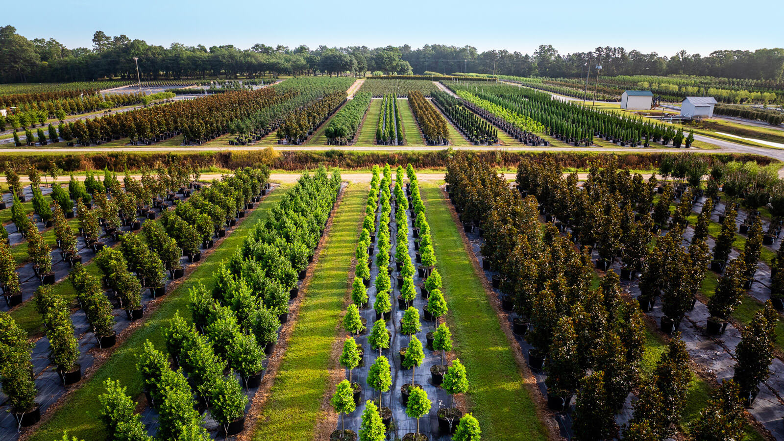 Contact – GreenForest Nursery