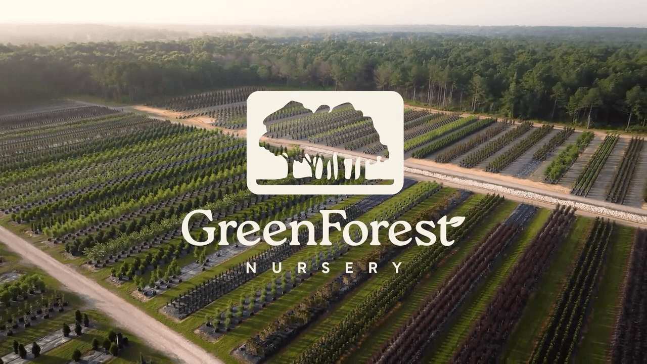 Load video: About GreenForest Nursery