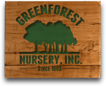 Green Forest Nursery, Inc.
